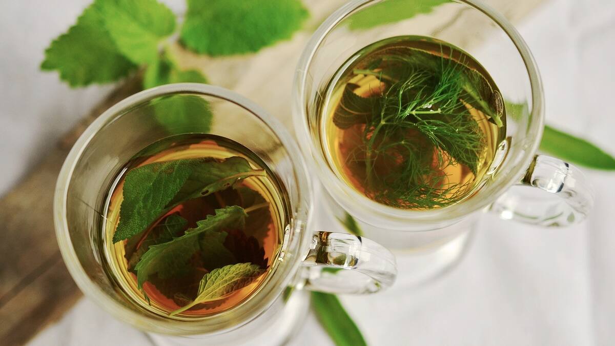 La hierba que tiene múltiples beneficios para la salud. Foto Pixabay.