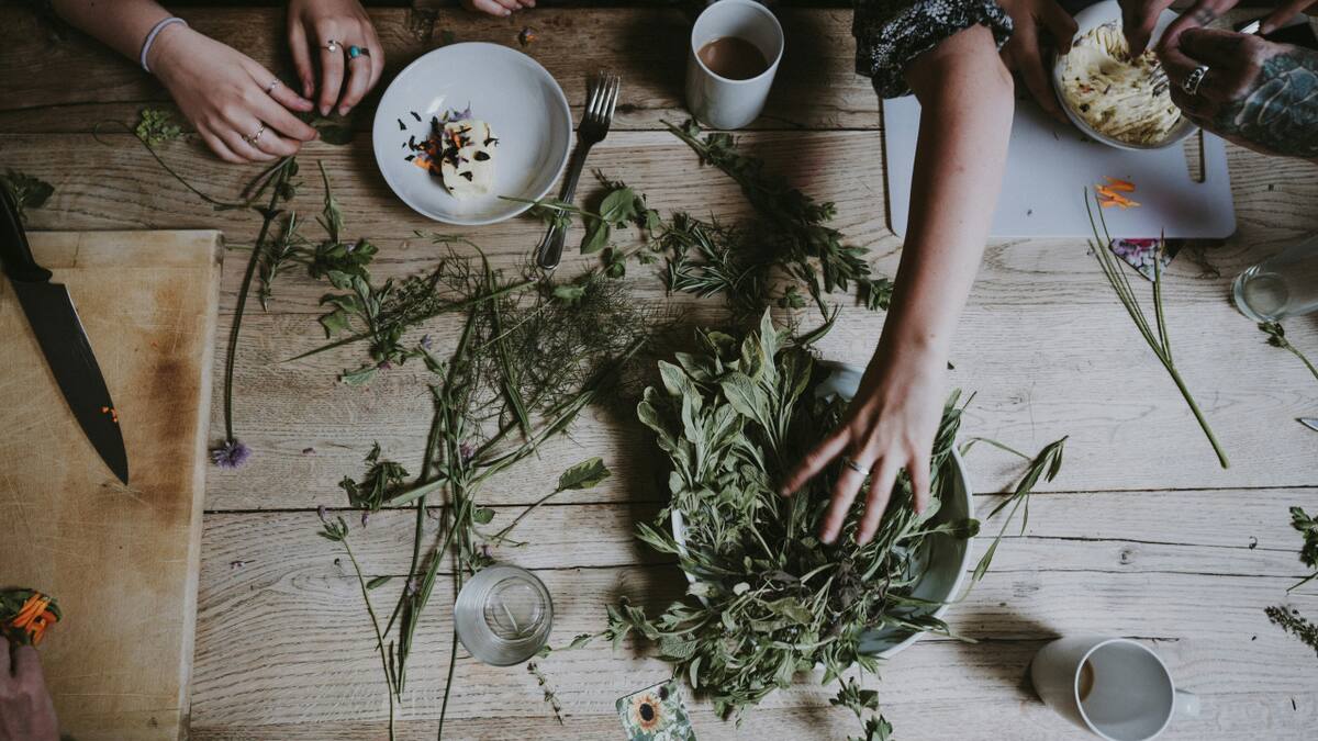 Hierbas medicinales. Foto: Unsplash