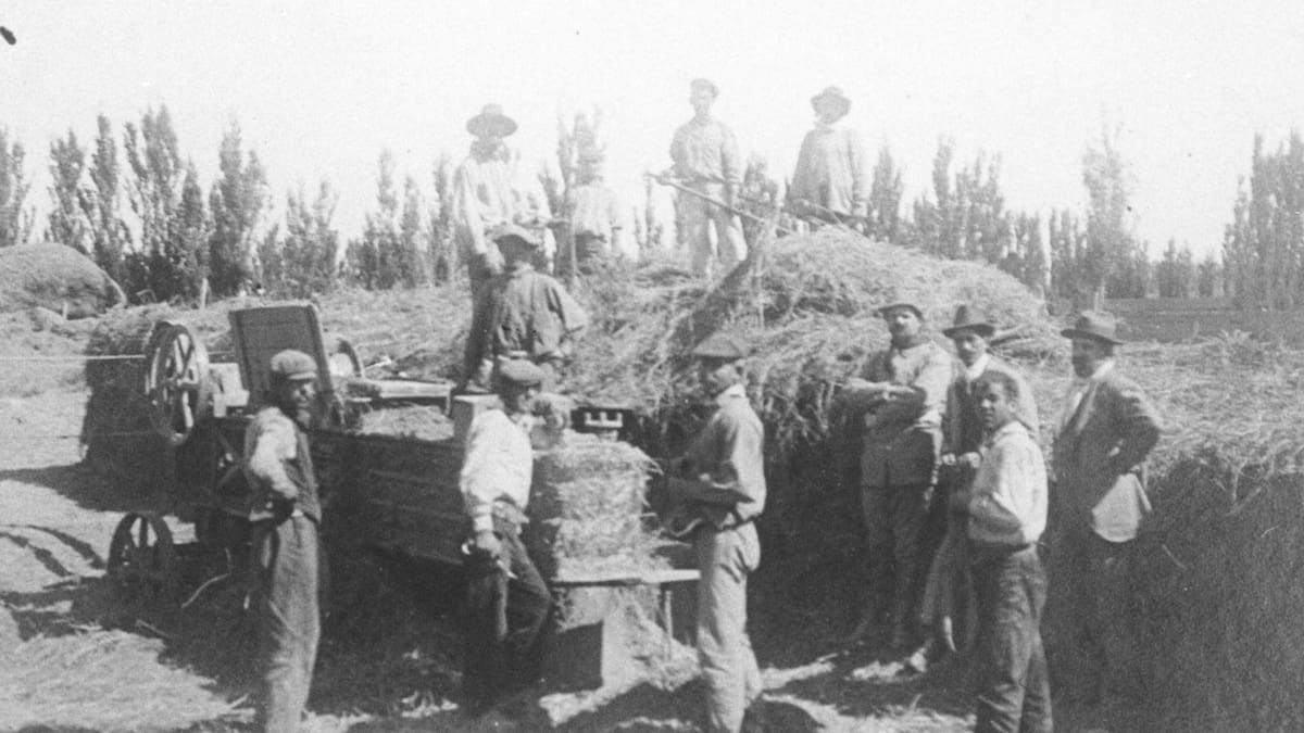 El plan británico que cambió la Patagonia: querían colonizar el sur y terminaron creando un imperio de estancias