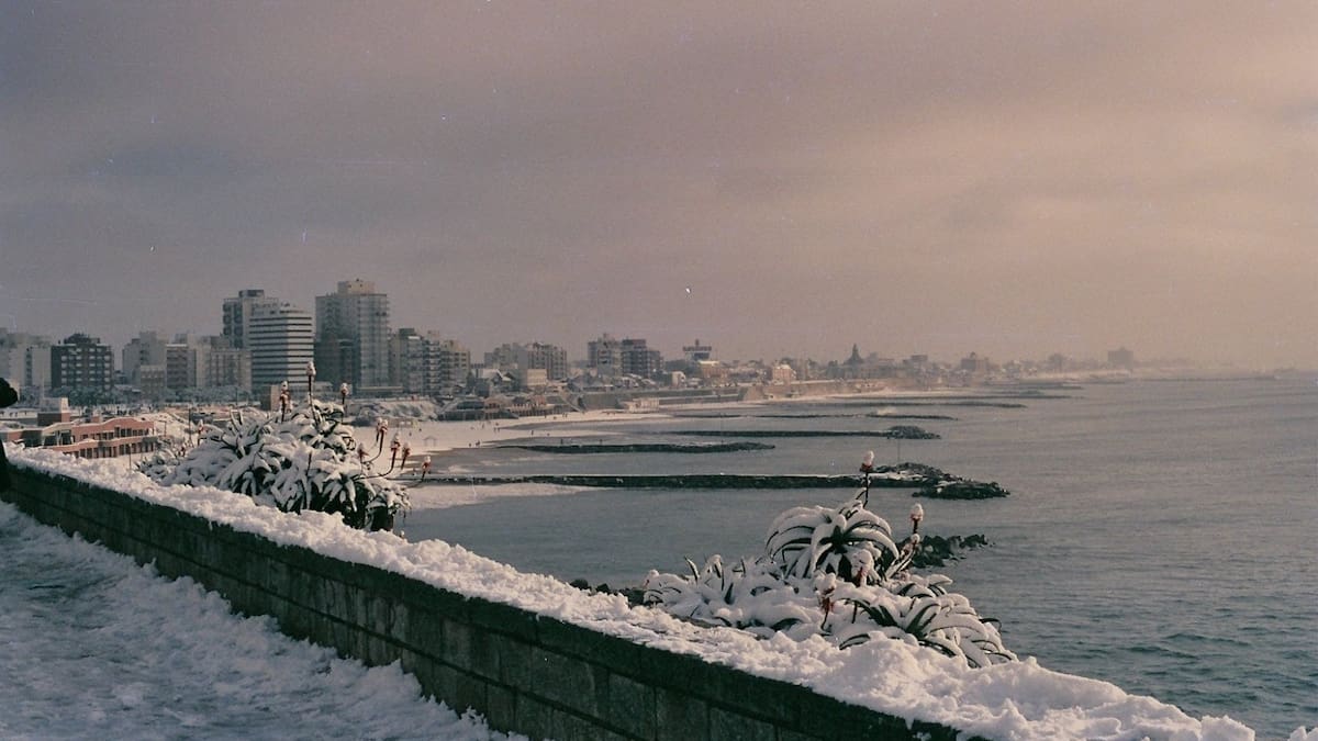 La histórica nevada que cubrió Mar del Plata: el recuerdo de 1991 que volvió con la nieve de julio