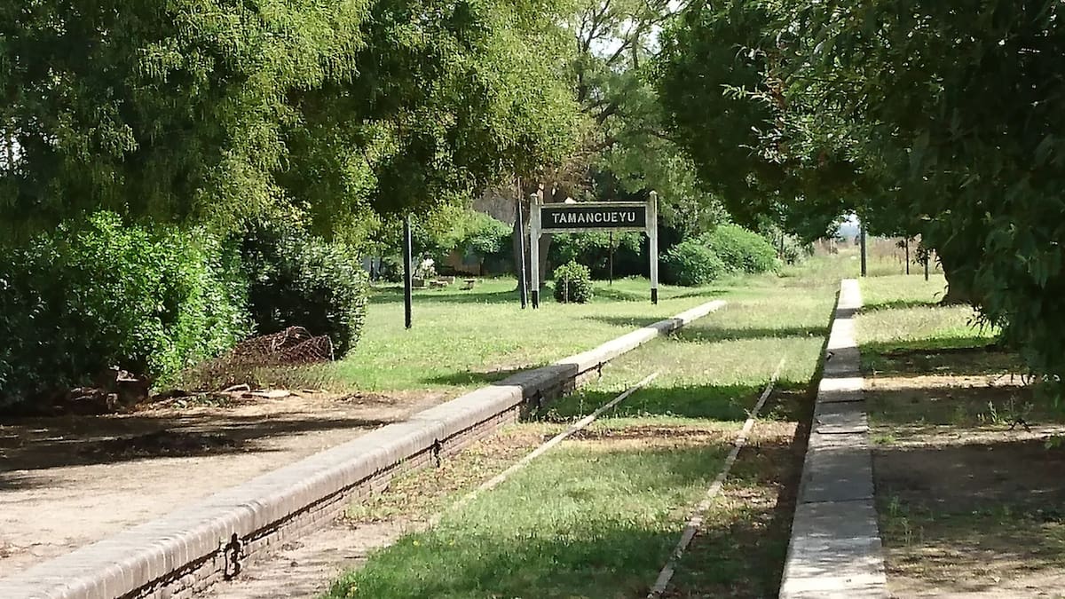 Tamangueyú