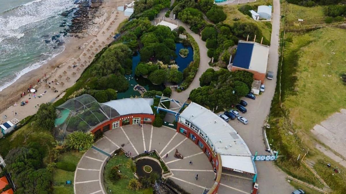 La caída del Aquarium de Mar del Plata: abrió en 1993, fue ícono de los veranos y hoy quebró poniéndole precio a cuatro pingüinos
