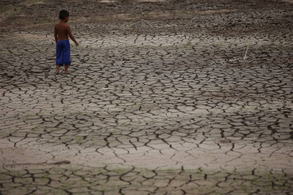Histórica sequía en el Amazonas. Foto: Reuters