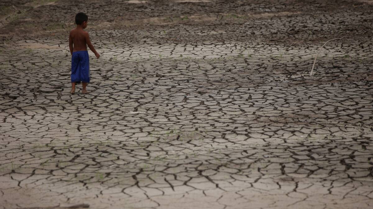 Histórica sequía en el Amazonas. Foto: Reuters