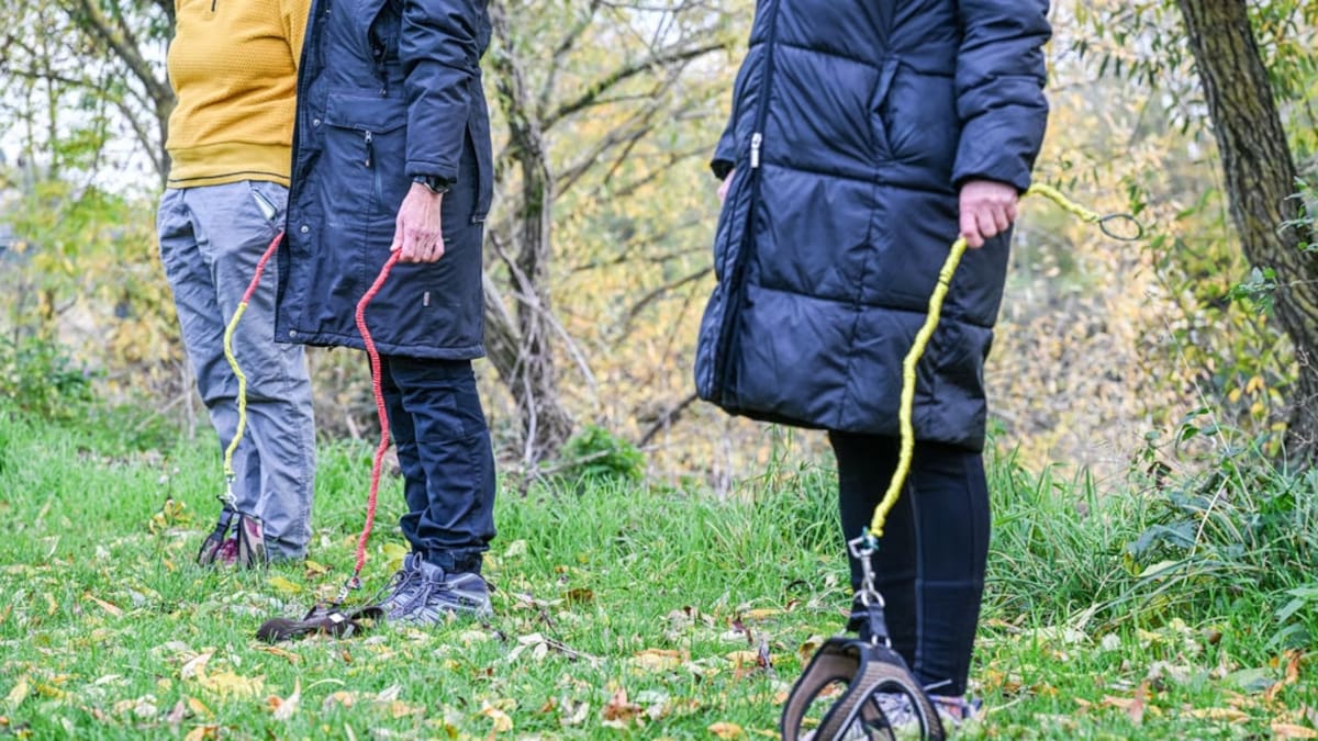Cuál es la nueva moda de pasear con perros imaginarios