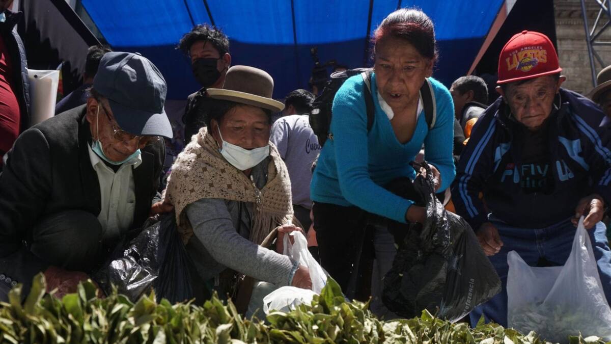 Hoja de coca, Bolivia. Foto: EFE