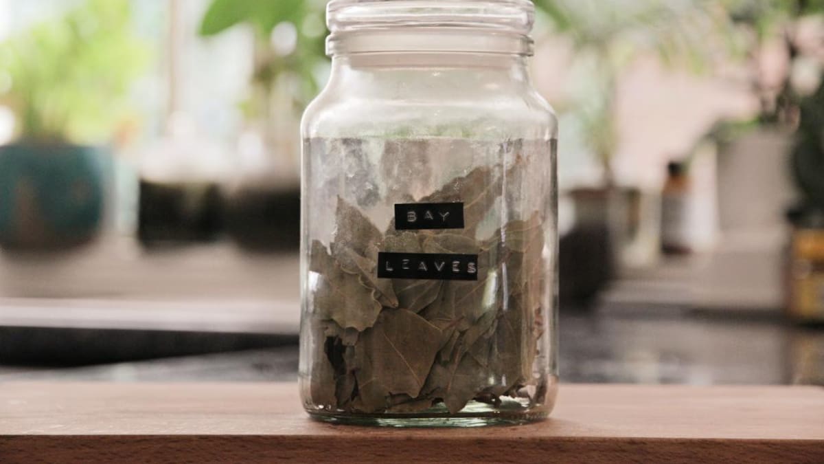 El ritual del laurel. Foto Unsplash.