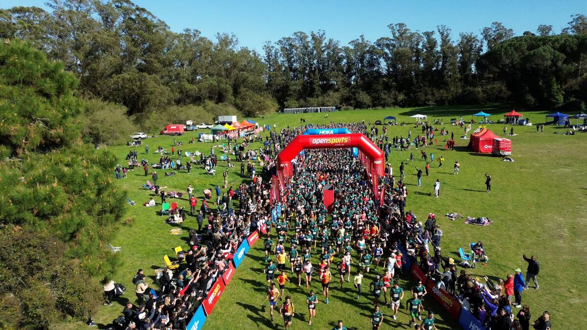 Hoka Run 2025.