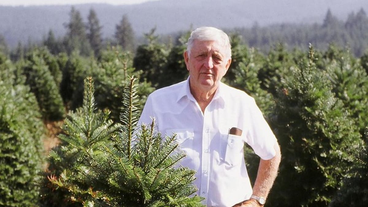 Harold Lester Schudel posa junto a varios árboles navideños de su empresa Holiday Tree Farms.