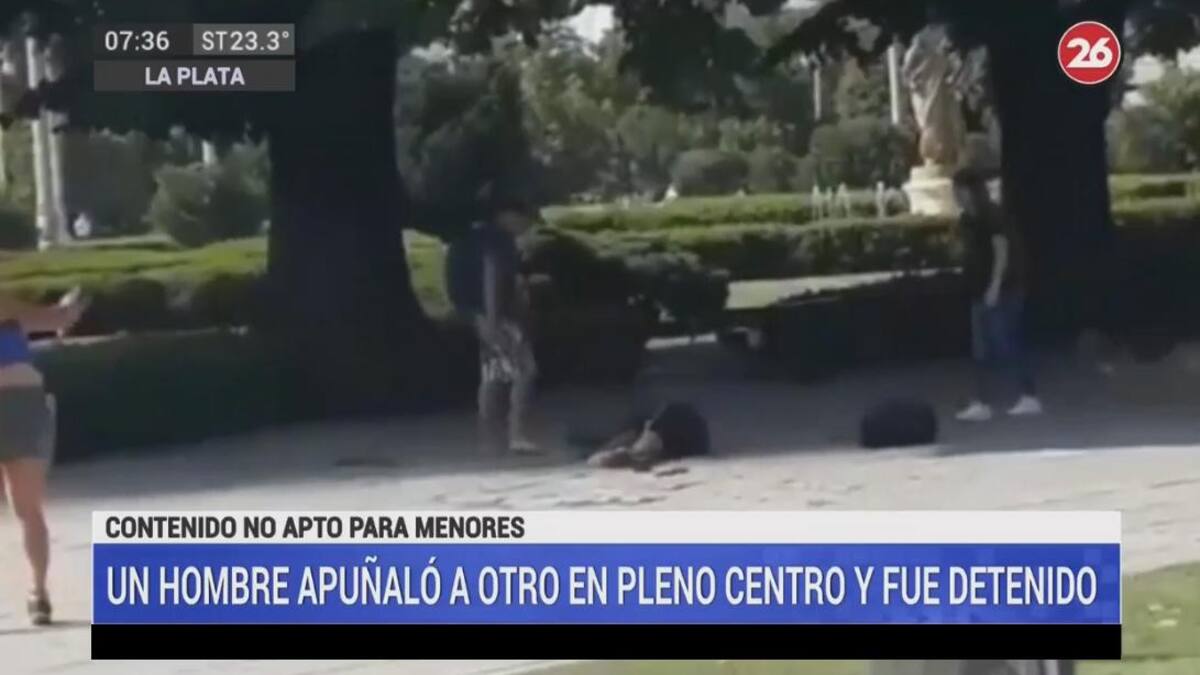 Hombre apuñala a otro en La Plata, captura Canal 26