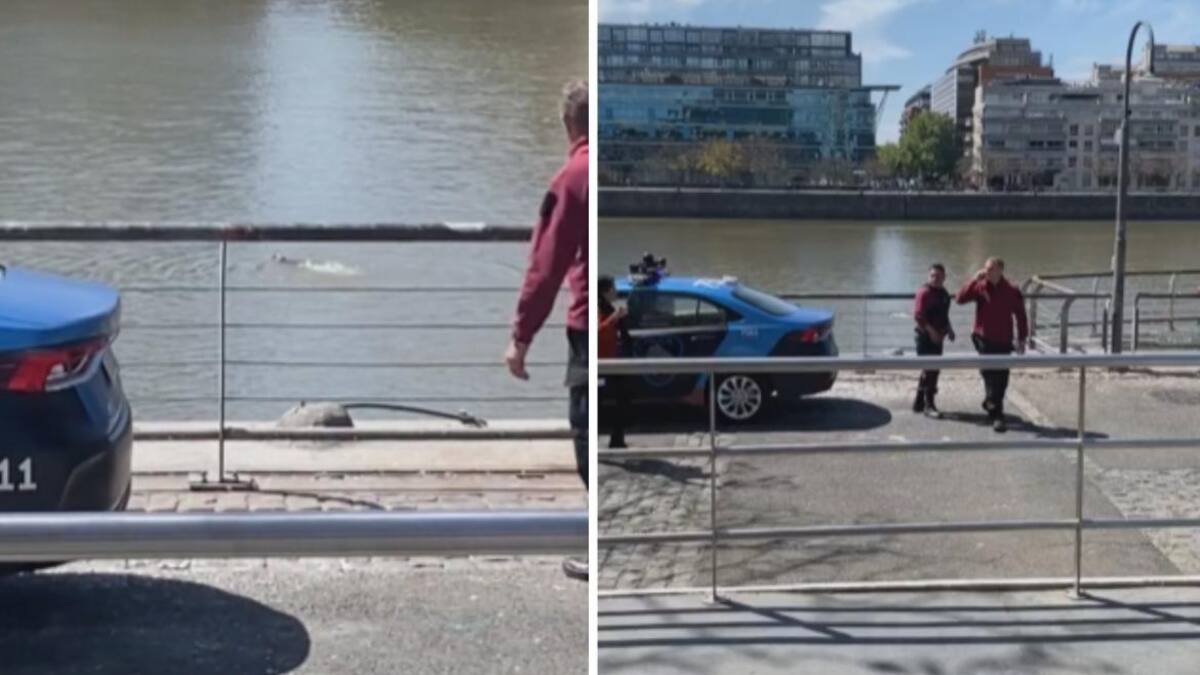 Hombre que se tiró al río tras ser detenido. Foto: captura video