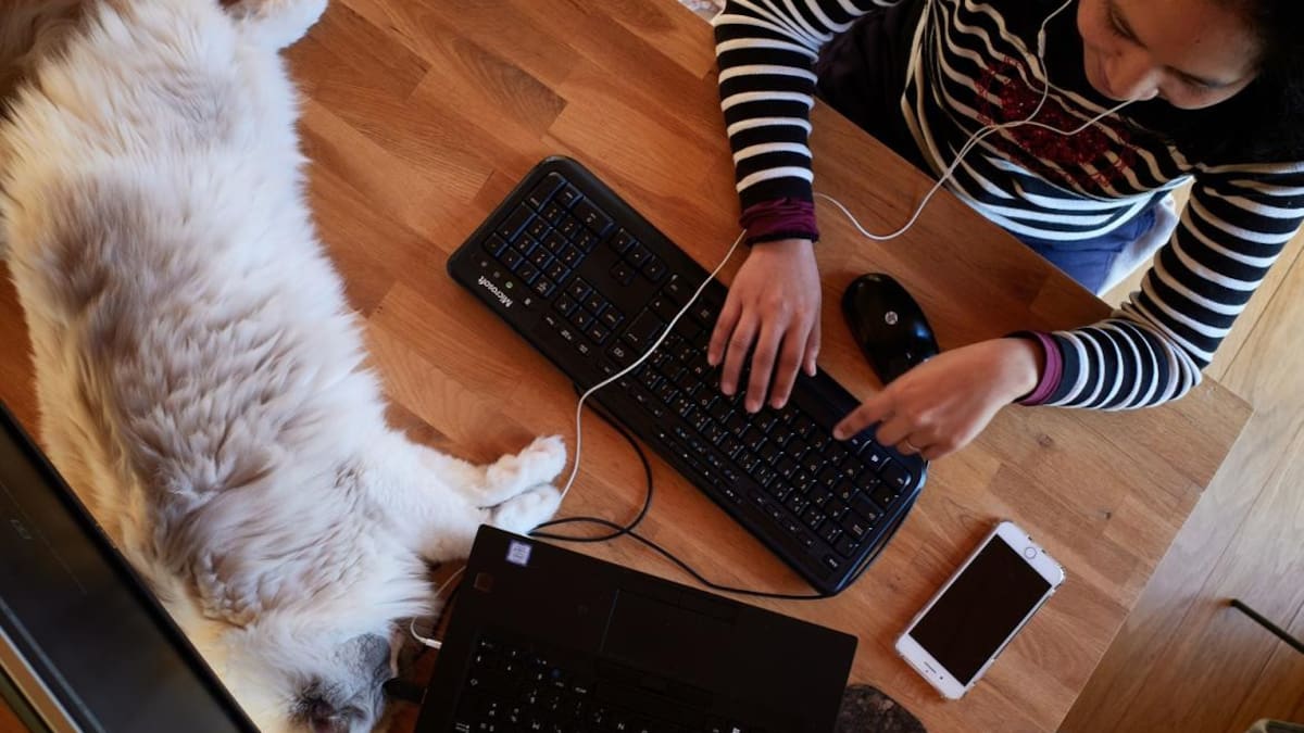 Homeoffice, REUTERS