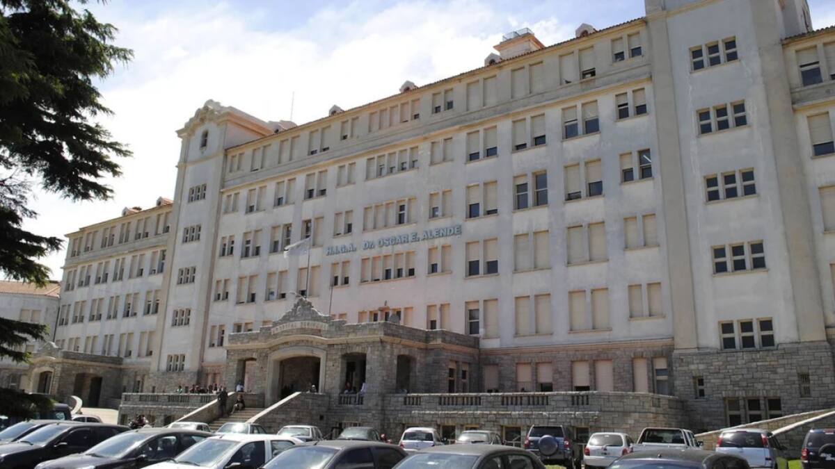 Hospital Interzonal de Agudos (HIGA) "Dr. Oscar Alende". Foto: archivo.