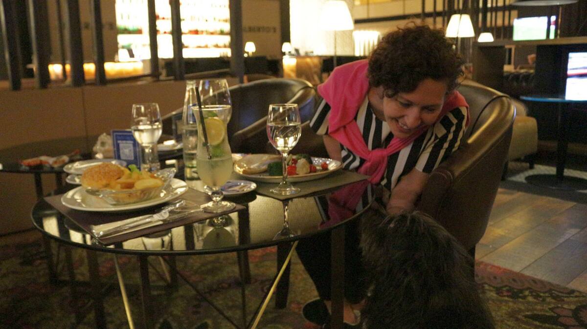 Hoteles 5 estrellas para perros: la experiencia Hilton. Foto: Aldana Córdoba Daniele: