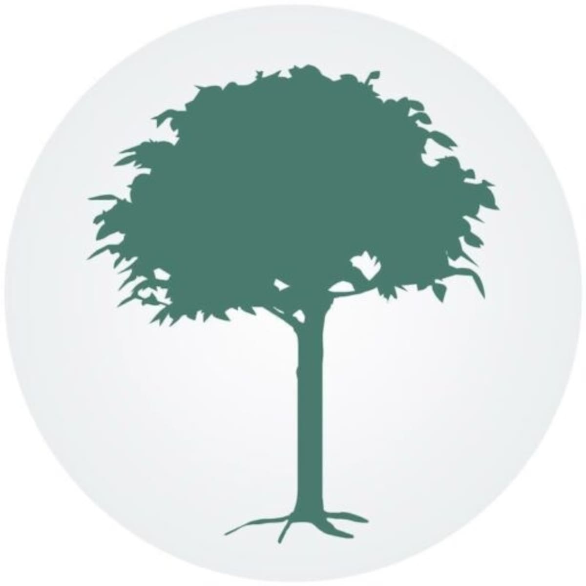 Noticias Ambientales