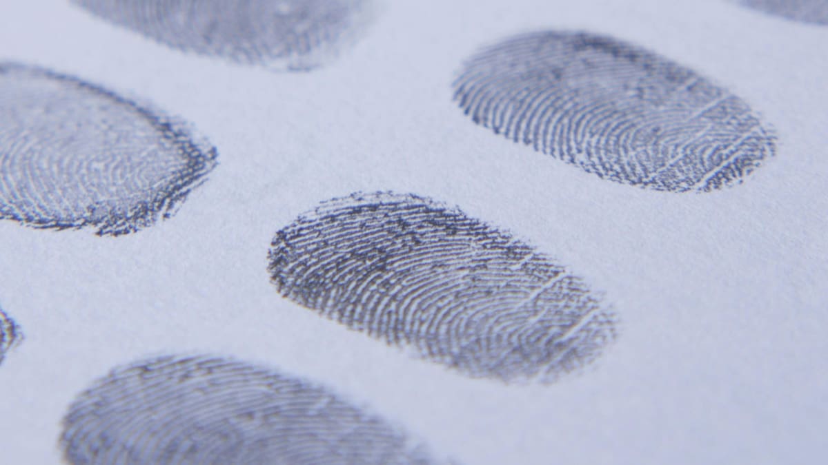 huella dactilar. Fuente: Pexels