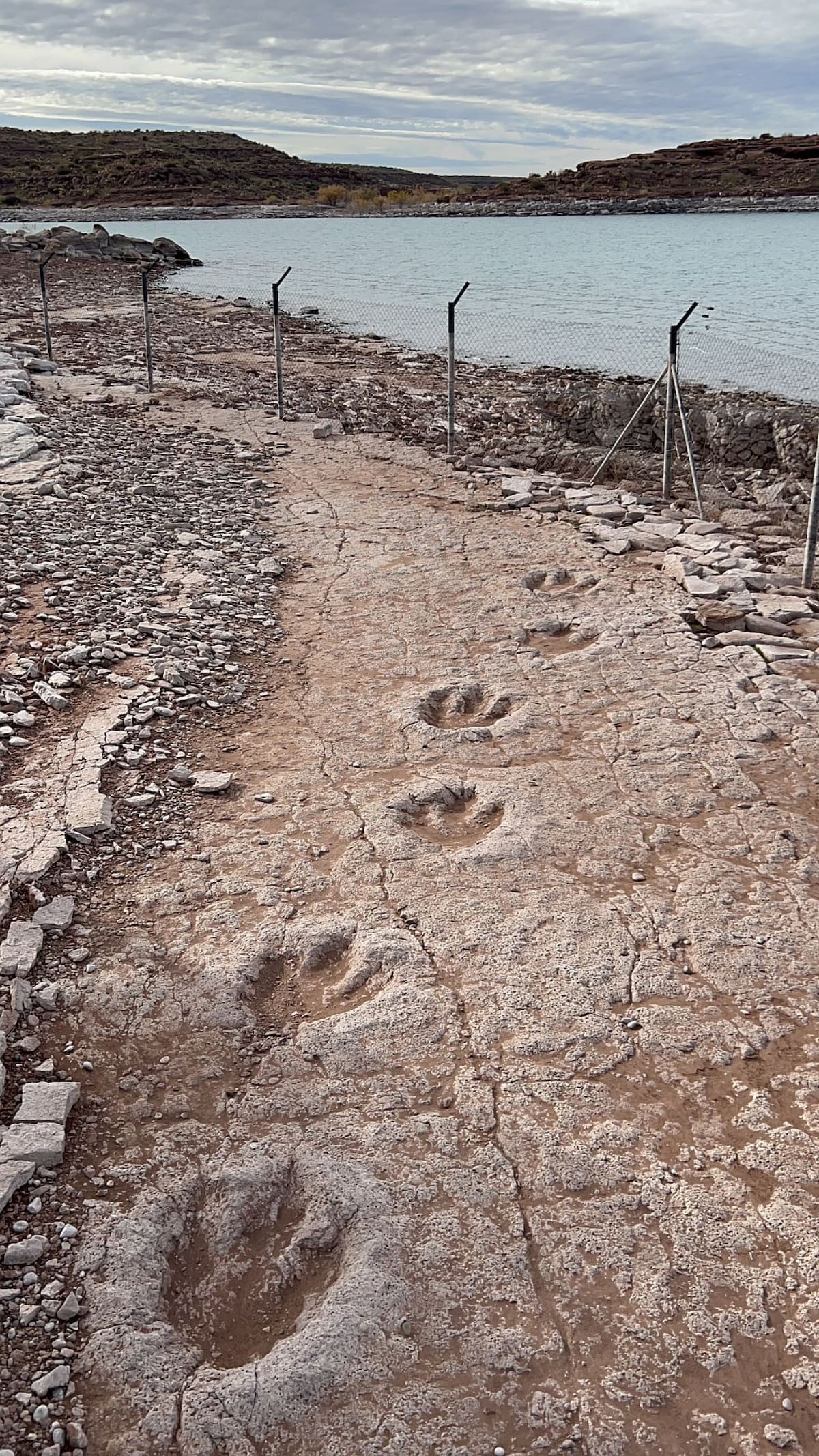 Huellas de dinosaurios en Villa el Chocón, Neuquén. Foto: Pato Daniele