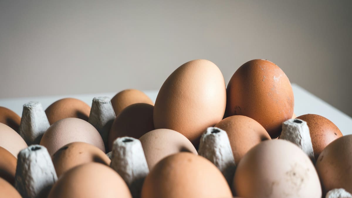 Huevos.
