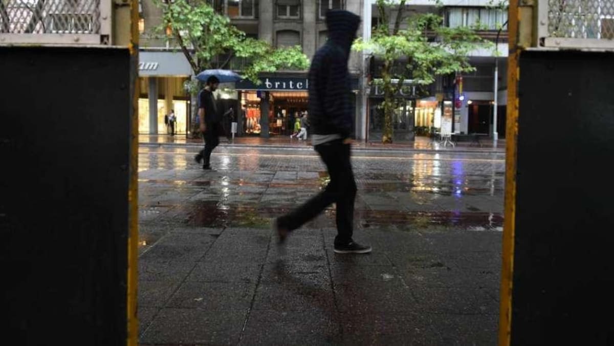 Humedad y calor - post lluvia