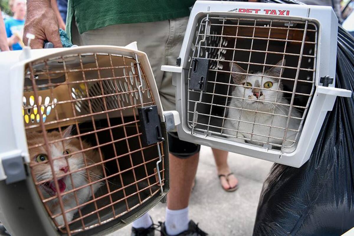 Huracán Irma - Éxodo (Reuters)