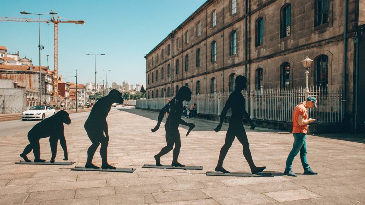 Identifican los genes que dieron forma al esqueleto para caminar erguido