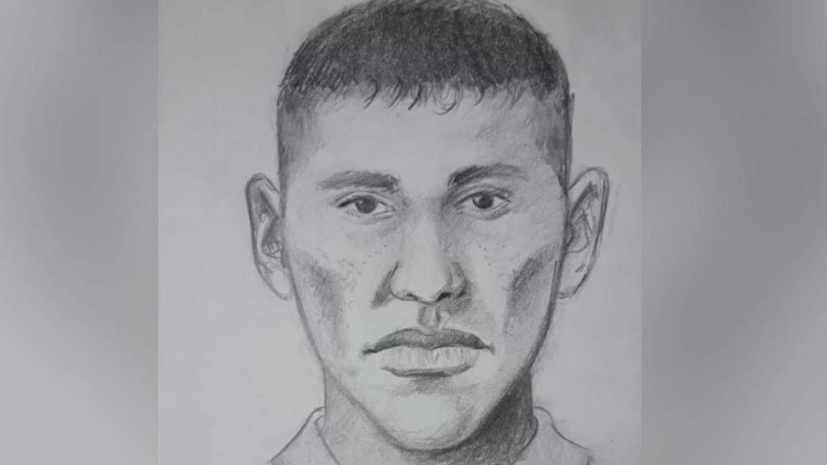 Identikit del supuesto autor del crimen del colectivero