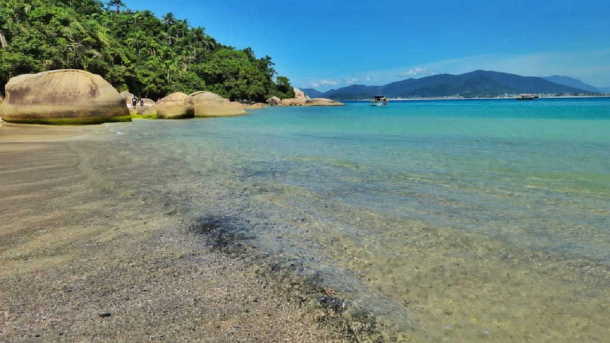 Ilha do Campeche, Brasil. Foto: captura Google Maps.