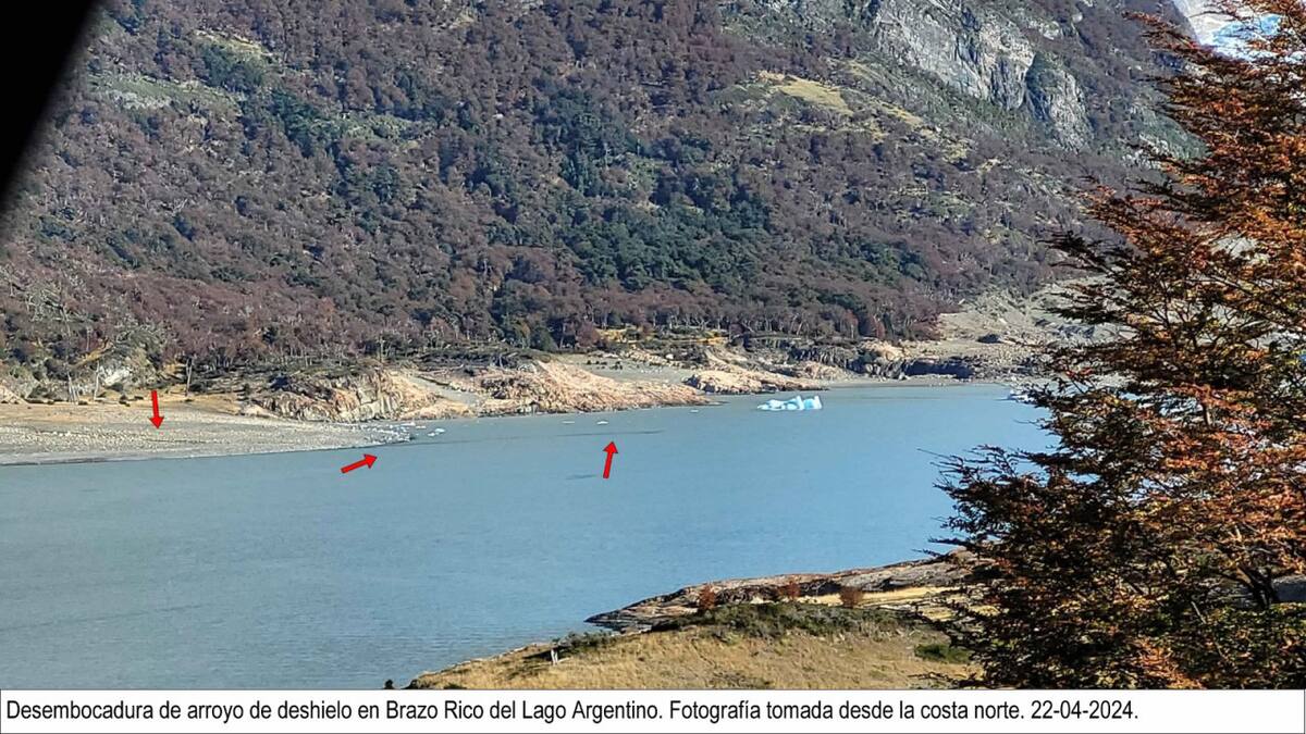 Imágenes satelitales de la zona en cuestión. Foto: Parque Nacional Los Glaciares.
