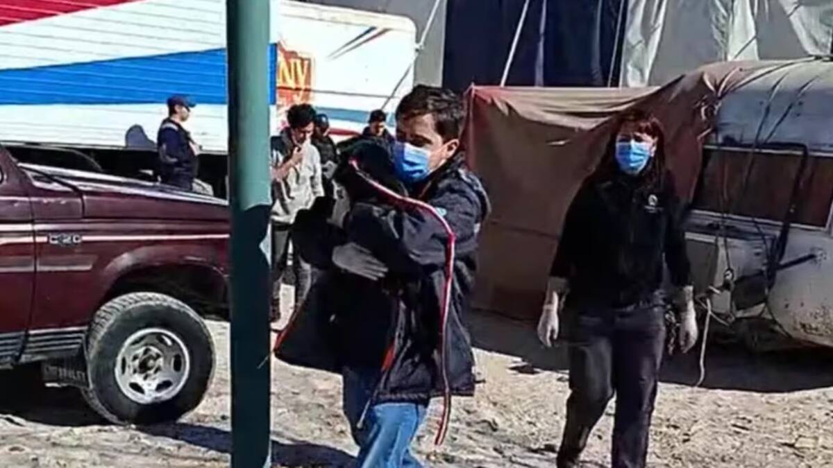 Más de 10 perros maltratados fueron rescatados de un circo: estaban encerrados, atados y vivían entre excrementos