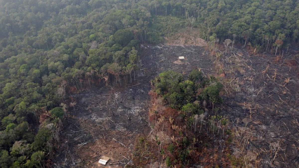 Incendio Amazonia, REUTERS