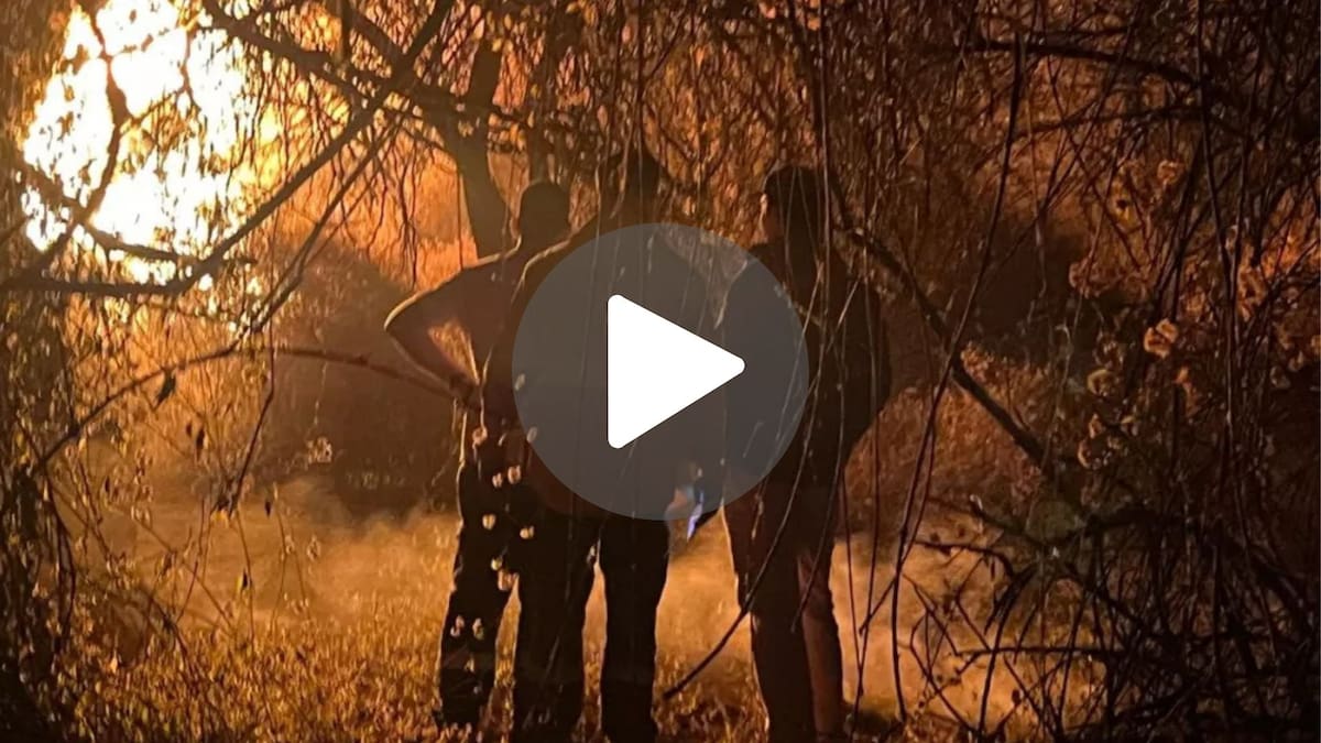Incendio forestal en Cafayate: ya son más de 200 hectáreas afectadas y afirman que “el daño ambiental es considerable”