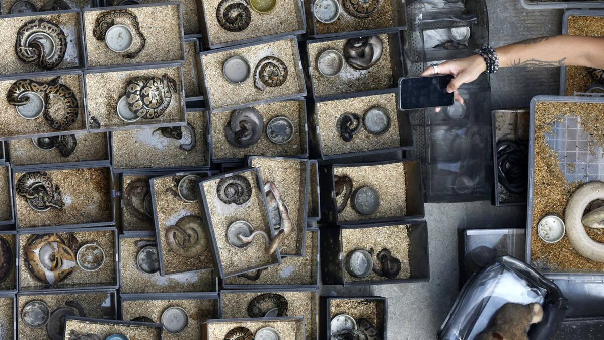 Incendio en el mayor mercado callejero de Bangkok. Foto: EFE.