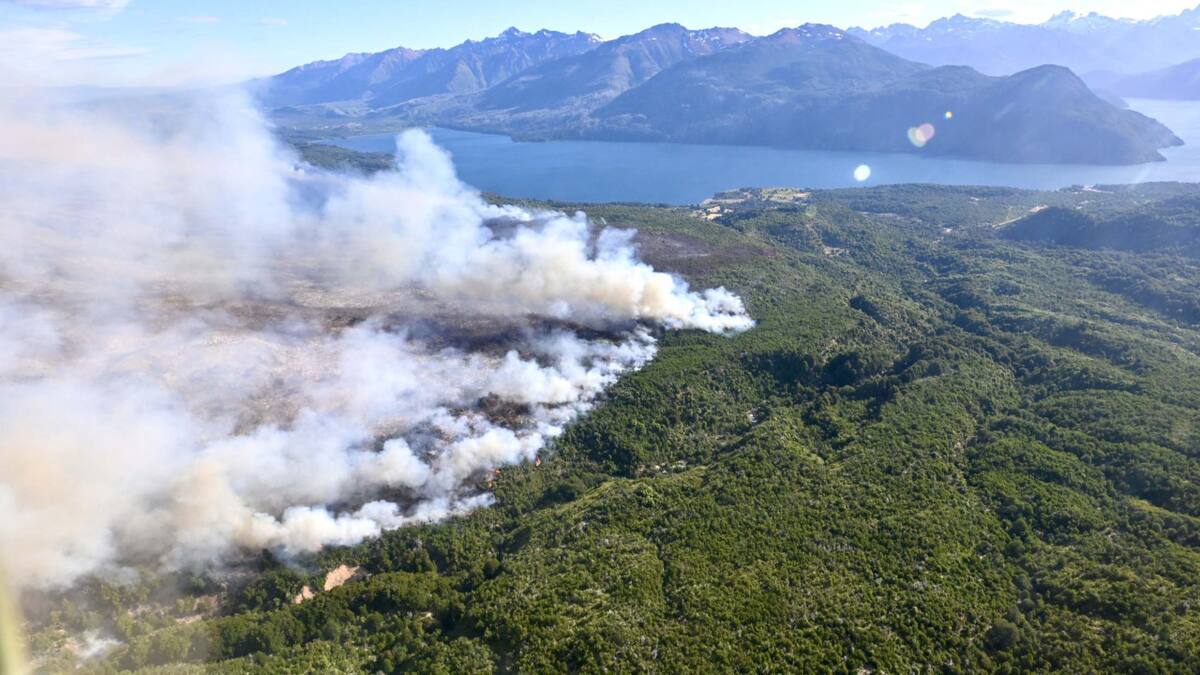 Incendio en el Parque Nacional Los Alerces. Foto: Télam.