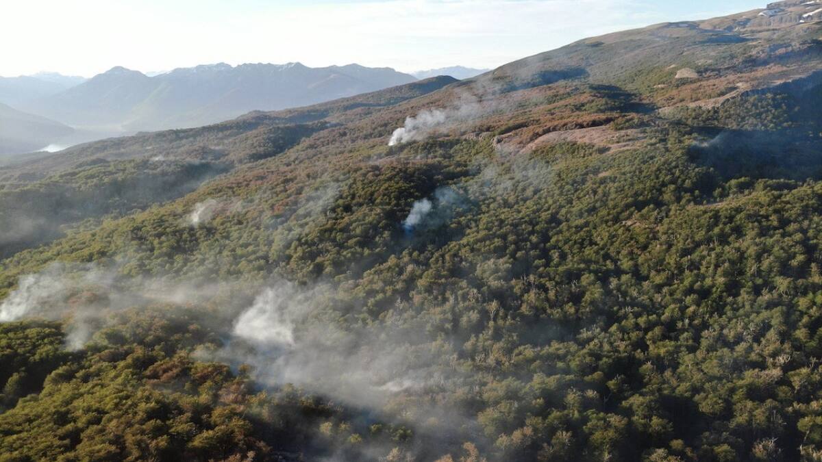 Incendio en el Parque Nacional Los Alerces. Foto: Télam.