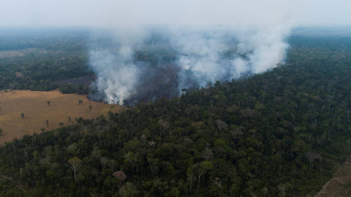 Incendio en la amazonía de Rondonia (Brasil). Foto: EFE