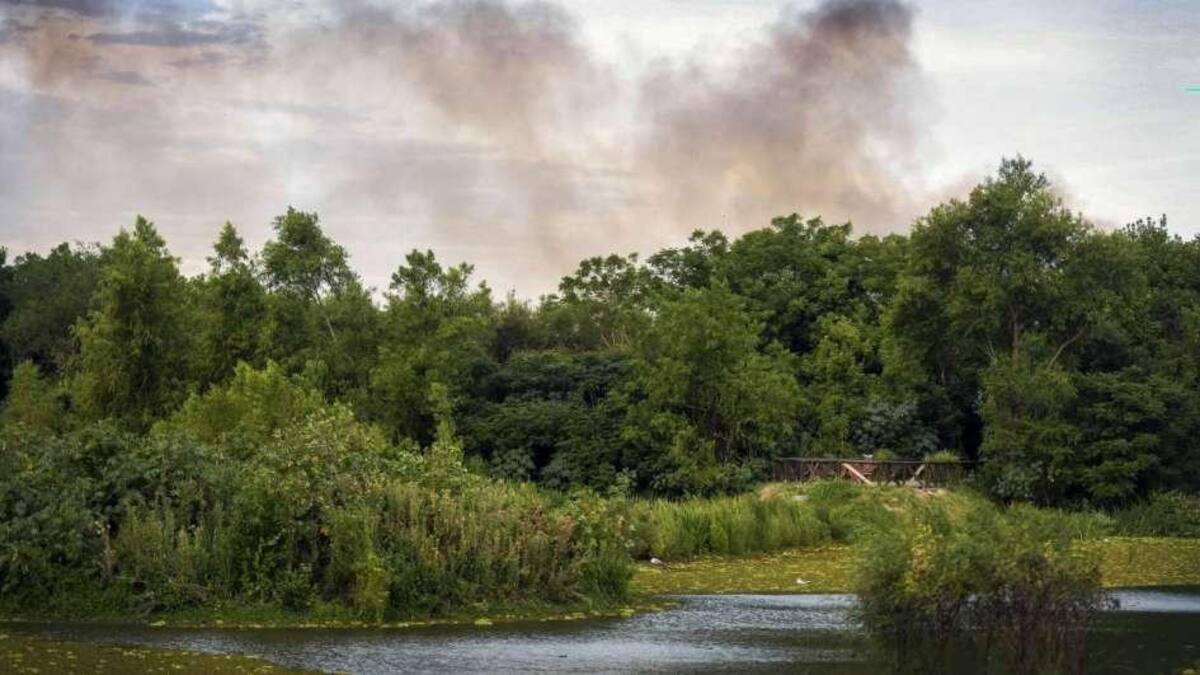 Incendio en la Reserva Ecológica de la Costanera Sur