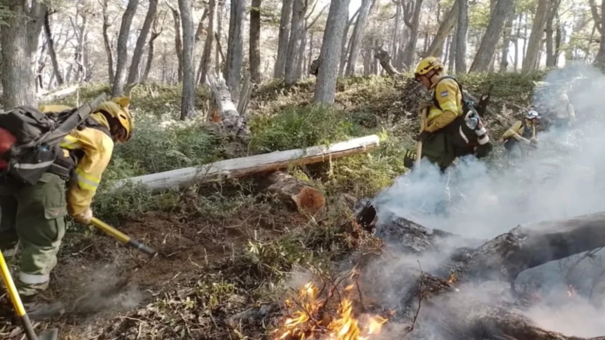 Incendio en Los Alerces. Foto: NA
