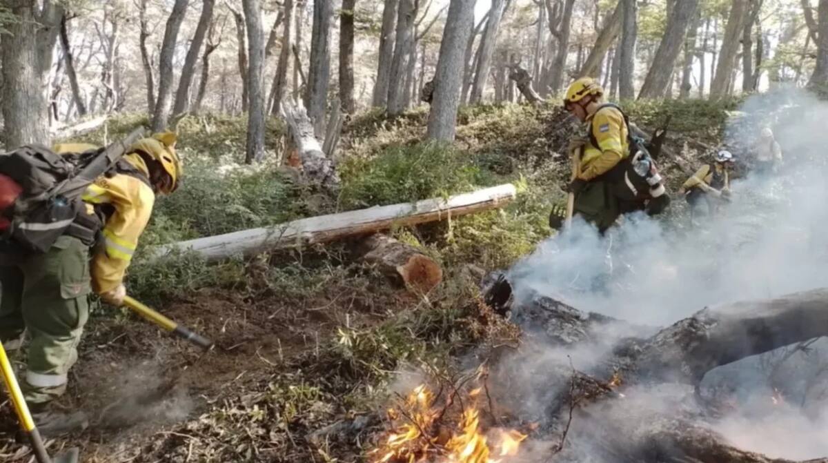 Incendio en Los Alerces. Foto: NA