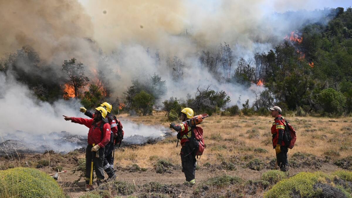 Incendio en Los Alerces. Foto: Télam