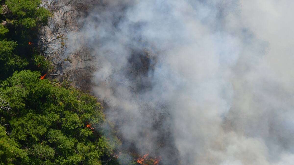 Incendio en parque Los Alerces. Foto: Télam