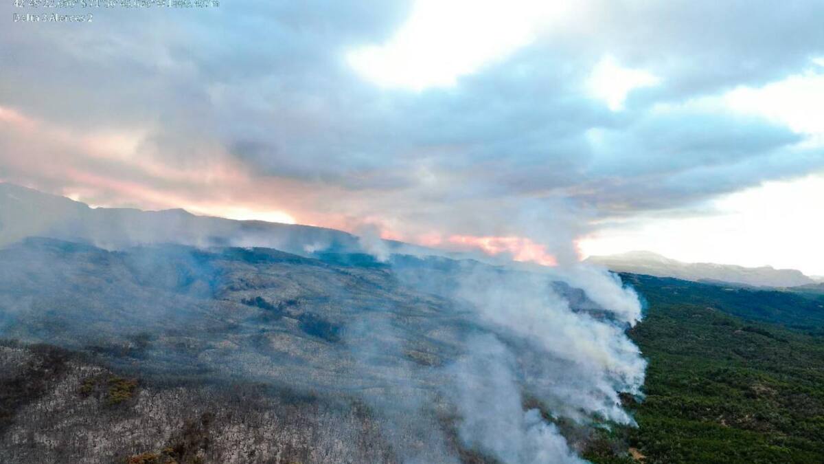 Incendio en parque Los Alerces. Foto: Télam