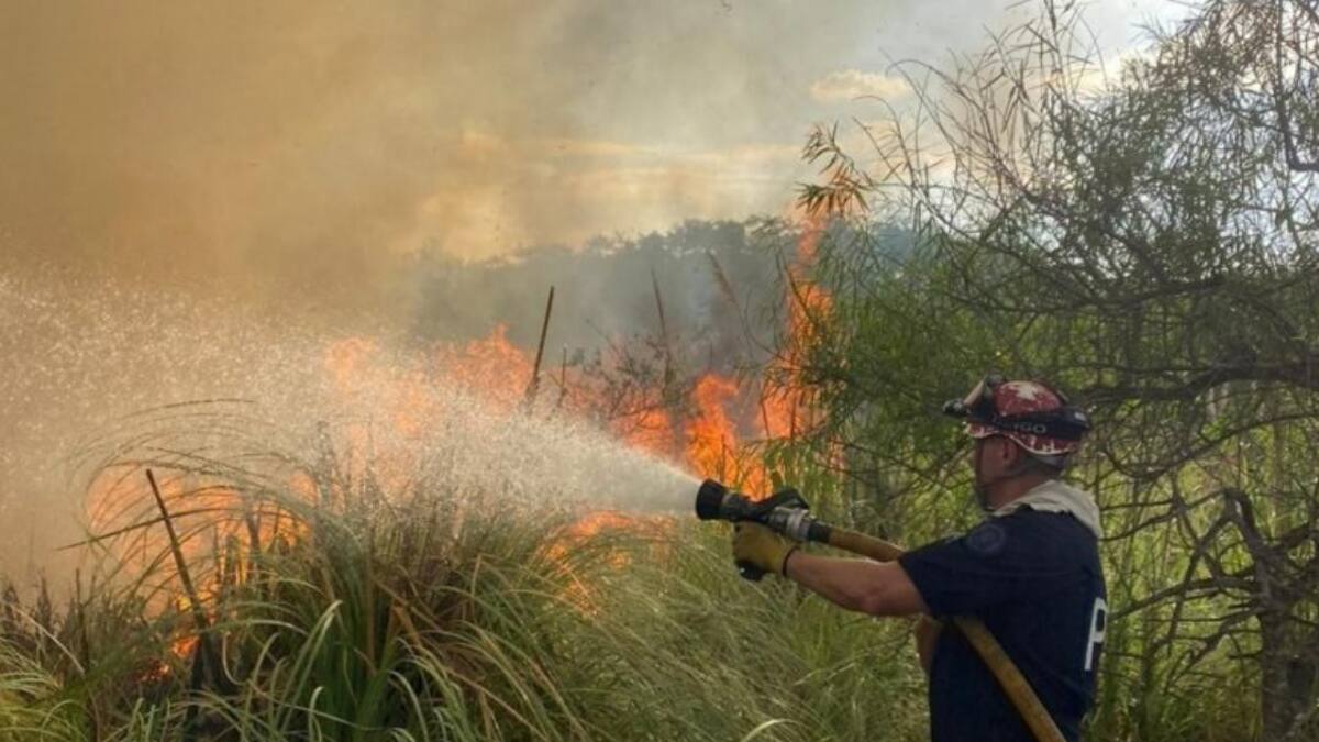 Incendio en Reserva Ecológica de Costanera Sur. Foto: NA.