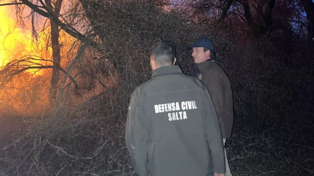 Incendios en Cafayate: la Justicia investiga si los focos fueron provocados de manera intencional
