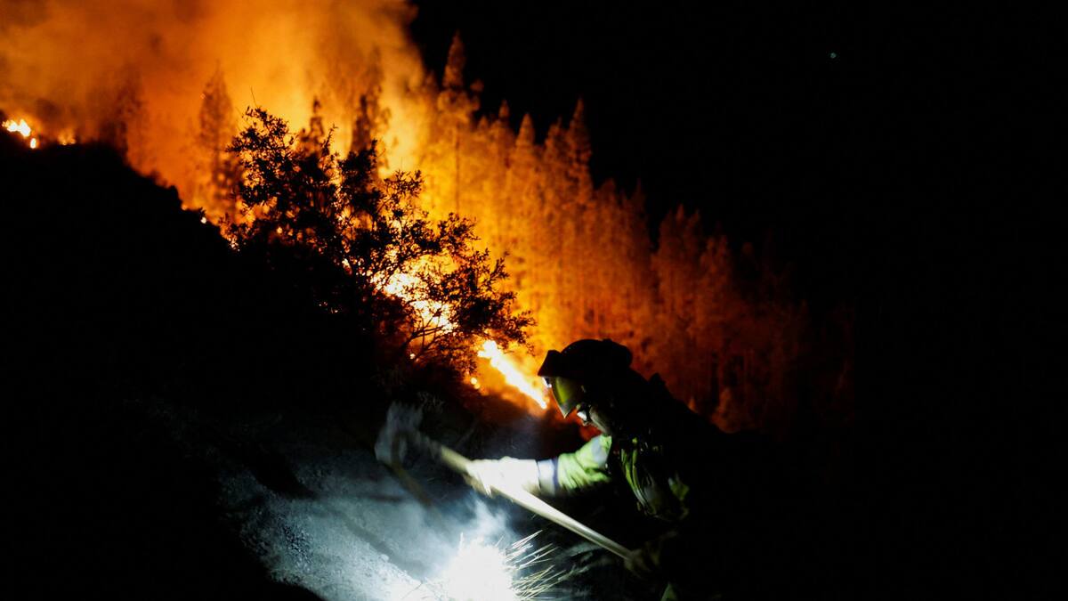 Incendio forestales en Grecia. Foto: Reuters