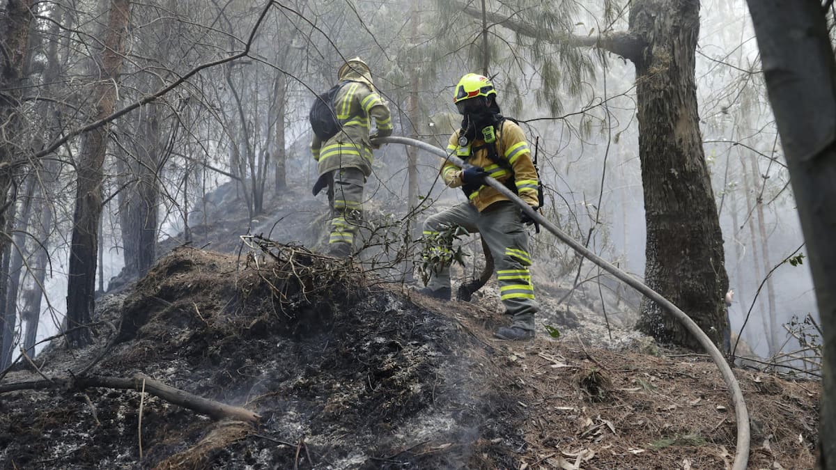 Incendios en Bogotá. Foto: EFE