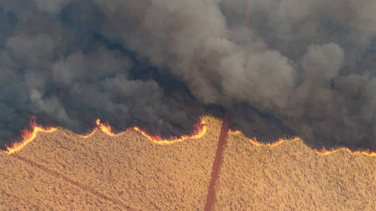 Incendios en Brasil. Foto: Reuters.