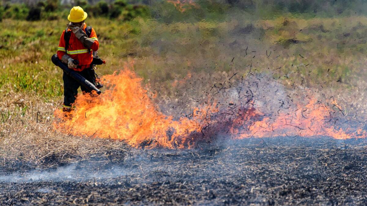 Incendios en Brasil. Fuente: EFE.