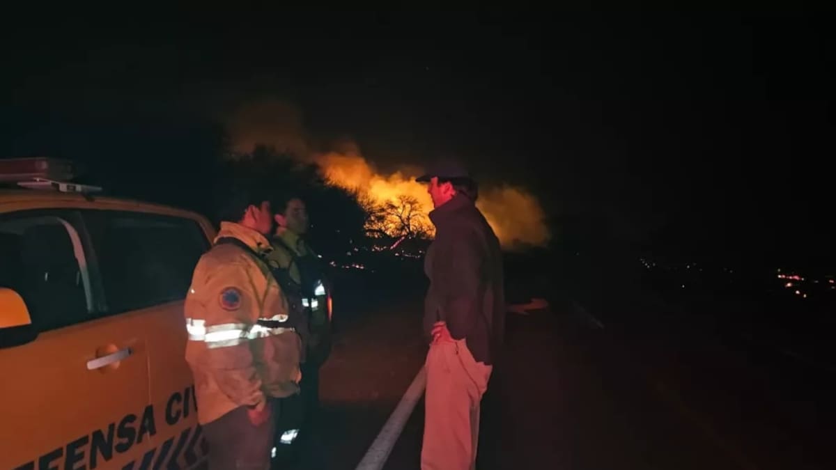 “El daño ambiental es considerable”: preocupación por el incendio forestal en Cafayate que ya arrasó con más de 200 hectáreas