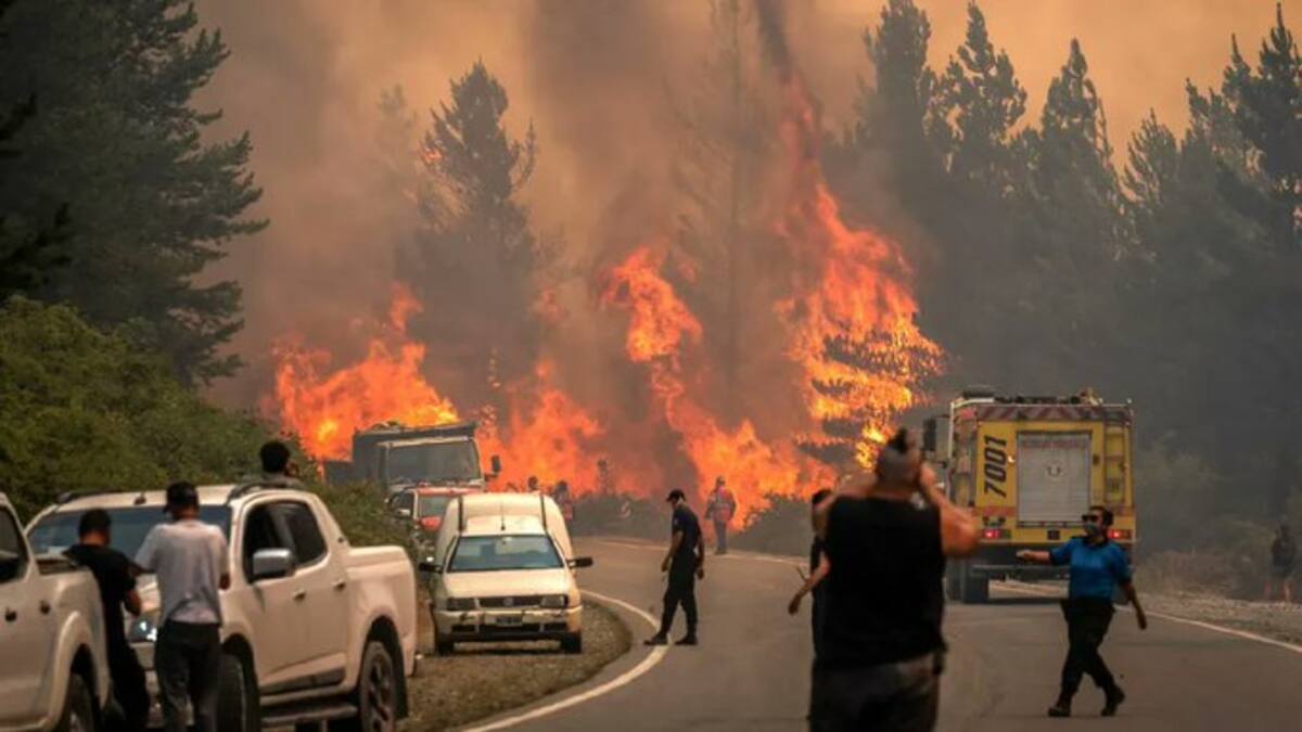 Incendios en Chubut: más de 500 bomberos luchan contra el fuego en el Parque Los Alerces y Puerto Patriada