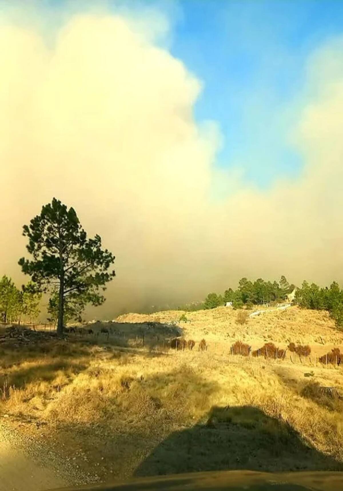 Incendios en Cordoba. Foto: NA.